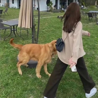 血染万圣节